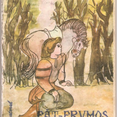 (C1132) FAT FRUMOS FIUL IEPEI DE ION CREANGA, EDITURA LITERATORUL, CRAIOVA, 1990, ILUSTRATII : VIORICA-MARIA COPACESCU