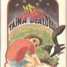 (C1126) TAINA DEALULUI DE DANA BALANESCU, EDITURA FACLA, TIMISOARA, 1990, VOLUM ILUSTRAT DE PETRU COMISARSCHI