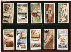 +++ 1938 Wills cigarettes - Set 50 cartonase de tigari Gradinaritul - o pasiune, Trade cards foto