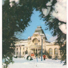 carte postala(ilustrata)-SINAIA Casa de cultura