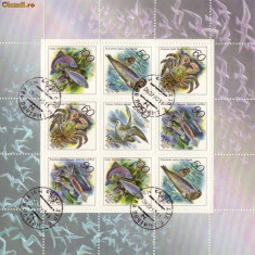 bloc timbre rusia animale marine 1993
