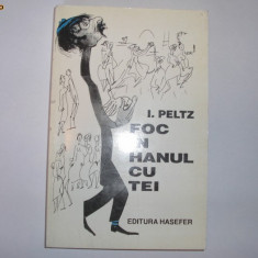 I. PELTZ -Foc in hanul cu tei {ilustrata} R4,G1