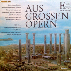 Verdi_Bizet_Wagner_Rossini_Mozart_RimskyKorssakoff - Aus Grossen Opern (Vinyl)