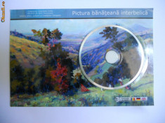 CD MULTIMEDIA INTERACTIV (3D)-PICTURA INTERBELICA DIN BANAT,TIMISOARA foto