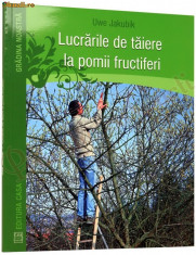 Lucrarile de taiere la pomii fructiferi foto