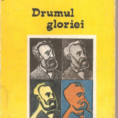 (C1225) DRUMUL GLORIEI ( CALATORII EXTRAORDINARE ) DE JULES VERNE, EDITURA AGORA, IASI, TRADUCERE : CONSTANTIN A. I. GHICA