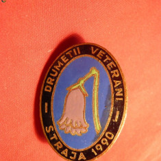 Insigna Drumetii-Veterani-Straja 1990