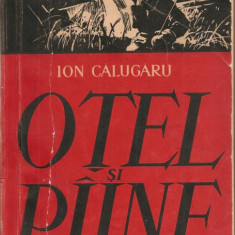 (C1202) OTEL SI PIINE DE ION CALUGARU, ESPLA, BUCURESTI, 1960, EDITIA A III-A