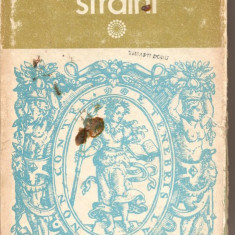 (C1207) SCRIITORI STRAINI, MIC DICTIONAR, COORDONATOR GABRIELA DANTIS, EDITURA STIINTIFICA SI ENCICLOPEDICA, BUCURESTI, 1981