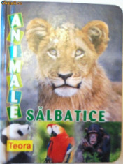 ANIMALE SALBATICE foto