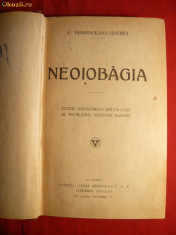 C-tin Dobrogeanu Gherea - Neoiobagia - Ed.II - 1910 foto