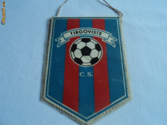 Fanion fotbal CS TARGOVISTE foto