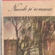 (C1250) NUVELE SI ROMANE DE DAMIAN STANOIU, EDITUTURA CARTEA ROMANEASCA, BUCURESTI, 1987