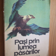 IONEL POP - Pasi prin Lumea Pasarilor - D. Ionescu (ilustratii) -1979, 285 p.