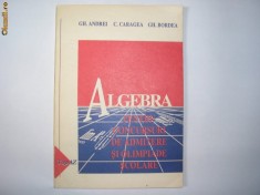 ALGEBRA PENTRU CONCURSURI SI OLIMPIADE SCOLARE GH.ANDREI,C CARAGEA,P1 foto