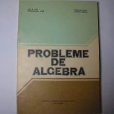 Probleme de algebra Ion.D Ion,Nicolae Radu,p1,P12