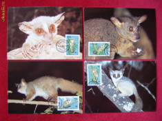 Timbre ilustrata maxima carte maxima maxime FDC fauna wwf maimute - Tanzania 1989 foto