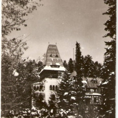 R-9841 Romania, RPR, Sinaia, Casa de creatie "Pelisorul", circulata