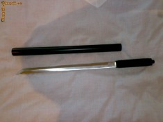 Vand sabie in baston de fier foto