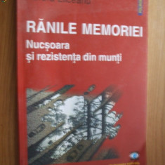 RANILE MEMORIEI - NUCSOARA SI REZISTENTA DIN MUNTI - Aurora Liiceanu -2003, 165p