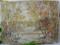 Padure - 4 , pictura veche in Ulei pe carton de dimensiunile 90 x 67 cm foto