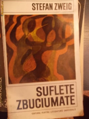 SUFLETE ZBUCIUMATE foto