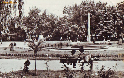 S 4923 BACAU vedere DIN PARC CIRCULATA foto