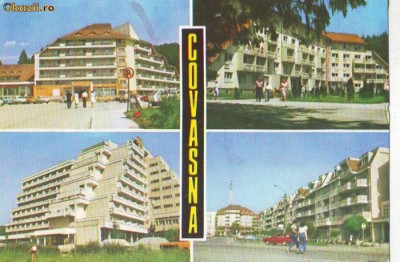 S 10571 COVASNA Complex Bradul CIRCULATA foto