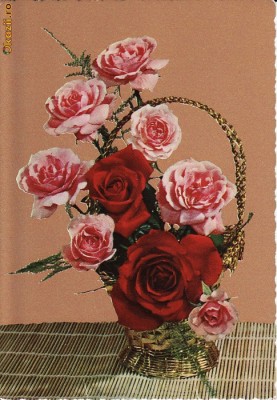 ilustrata flori - editata Italia foto