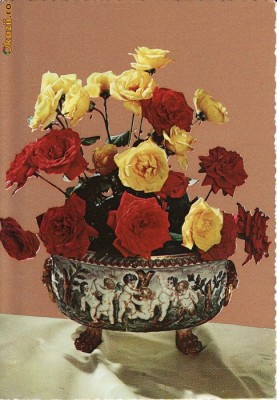 ilustrata flori - editata Italia foto