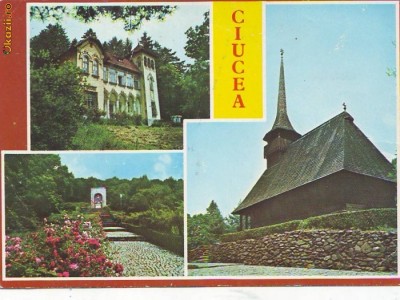 S-10274 CIUCEA NECIRCULAT foto