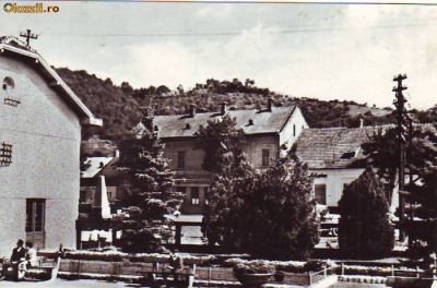 S-10266 CIUCEA CIRCULAT 1972 foto
