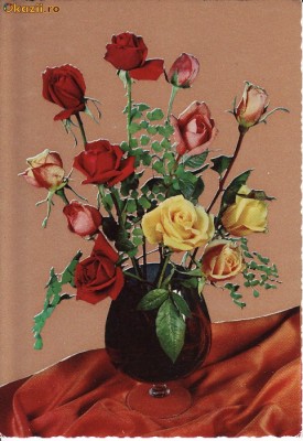 ilustrata flori - editata Italia foto