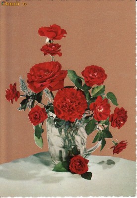 ilustrata flori - editata Italia foto