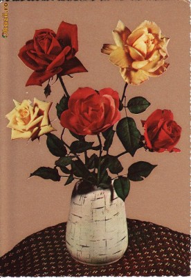 ilustrata flori - editata Italia foto