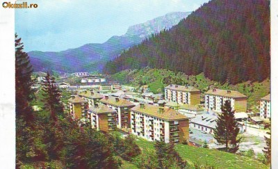 S-5066 HARGHITA Balan CIRCULAT foto