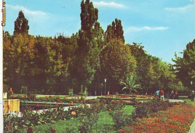 S-4949 BACAU Vedere din parc NECIRCULAT foto