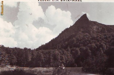 B749 Baia Mare Vedere necirculata 1942 foto
