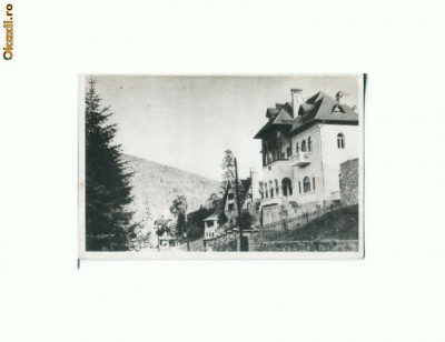 CP176-51 Sinaia -Vedere -RPR -necirculata foto