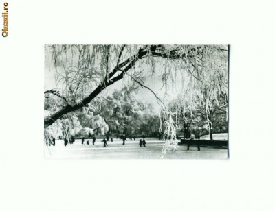 CP177-06 Bucuresti.Iarna in gradina Cismigiu -circulata 1967 foto