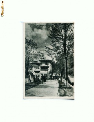 CP177-03 Sinaia -Vedere -RPR -necirculata foto