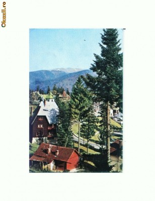 CP177-15 Sinaia.Vedere -circulata 1976 foto