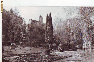 R8550 Bran Cetatea 1965 circulata foto