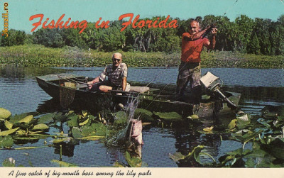 Pescuit In Florida SUA -vedere foto