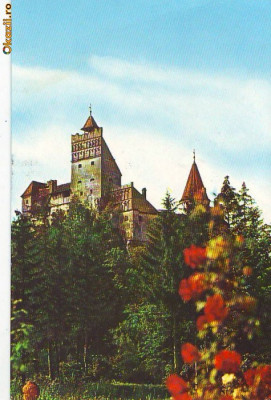 S11083 Castelul Bran Jud Brasov 1966 circulata foto