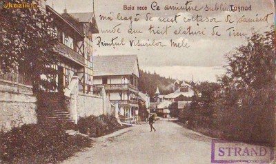 B2979 Tusnad Baia Rece necirculata 1925 foto