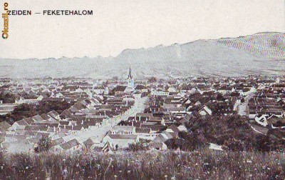 B2969 Coldlea necirculata 1915 foto