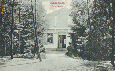 5527 Buzias Baia Phonix circulata 1917 foto