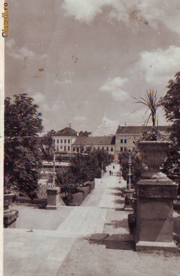 6204 Sangeorz Bai Parcul circulata 1943 foto