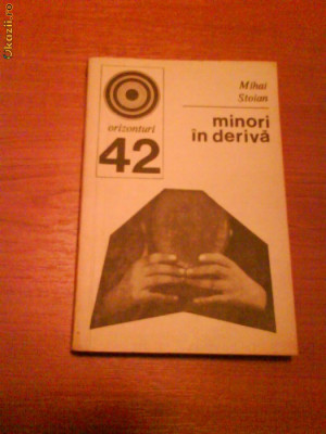 339 Mihai Stoian Minori in deriva foto